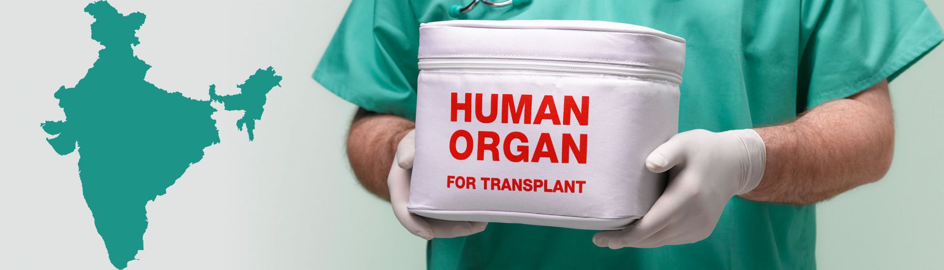 Need For Organ Donation In India Organ Donation