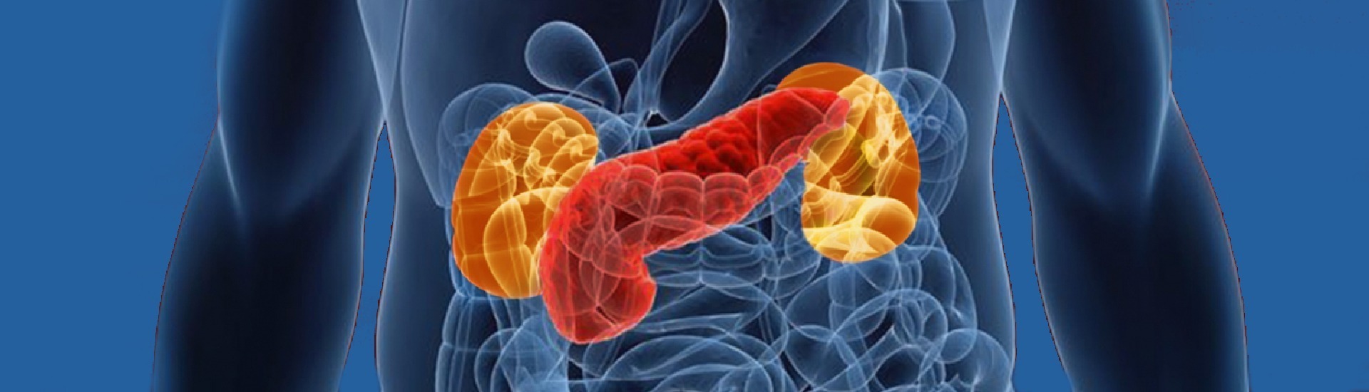40-pancres_banner