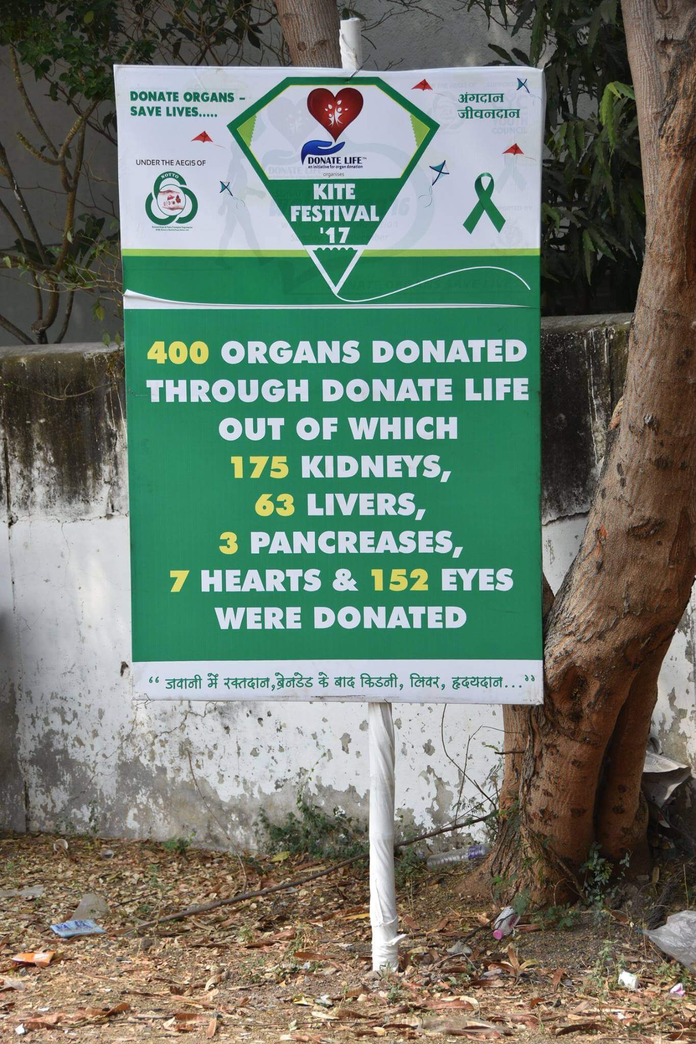 Awareness During Donate Life Kite Festival '17