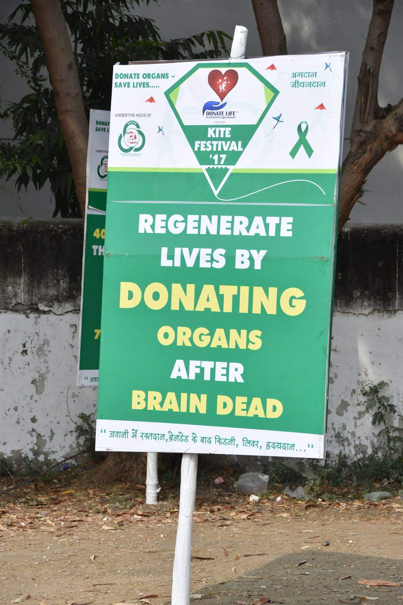 283-15974996_1183214968463362_4710747575746613630_o