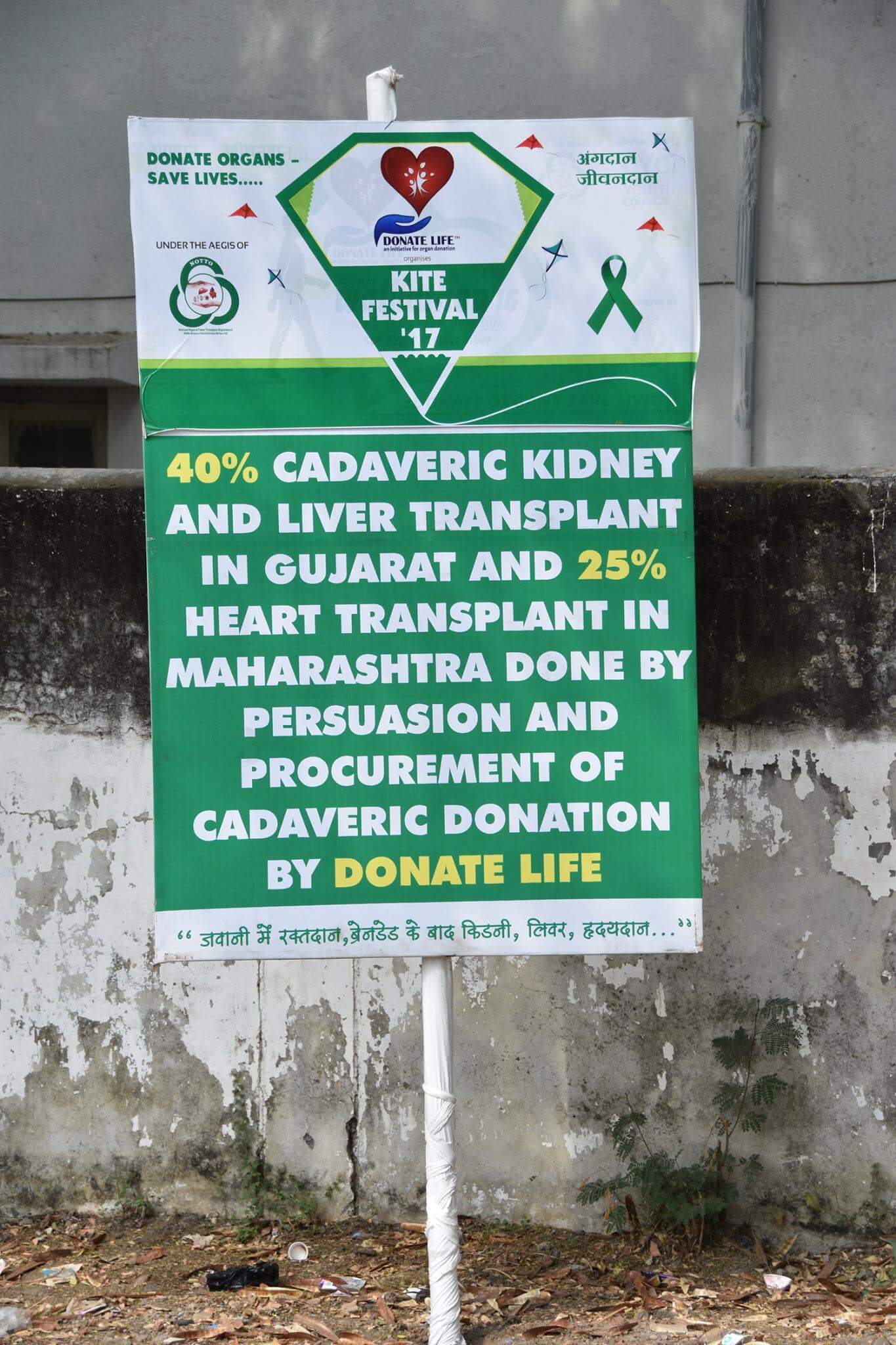 284-15975314_1183214315130094_5224230346496624999_o