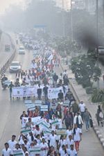 460-27332606_1551598491625006_6312948767571072569_n