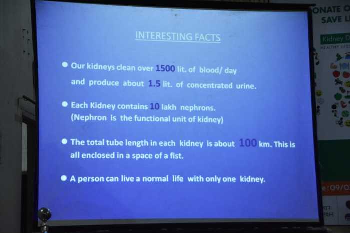 658-17159298_1239514362833422_2082082255513733757_o