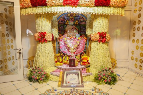 Team Donate Life prayed at the Salangpur Hanumanji Temple and sought the divine blessings of Lord Hanuman ji.